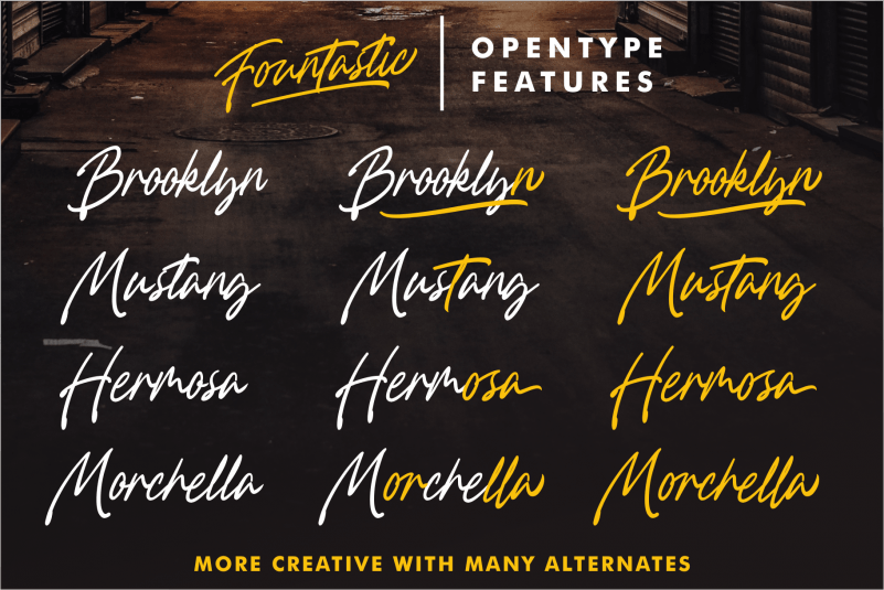 Fountastic Script Font preview image 2