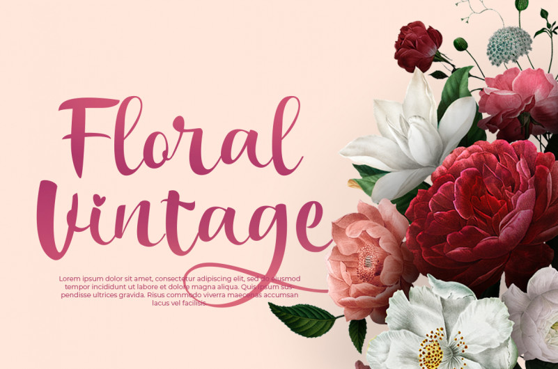 Bakira – Modern Calligraphy Font preview image 4