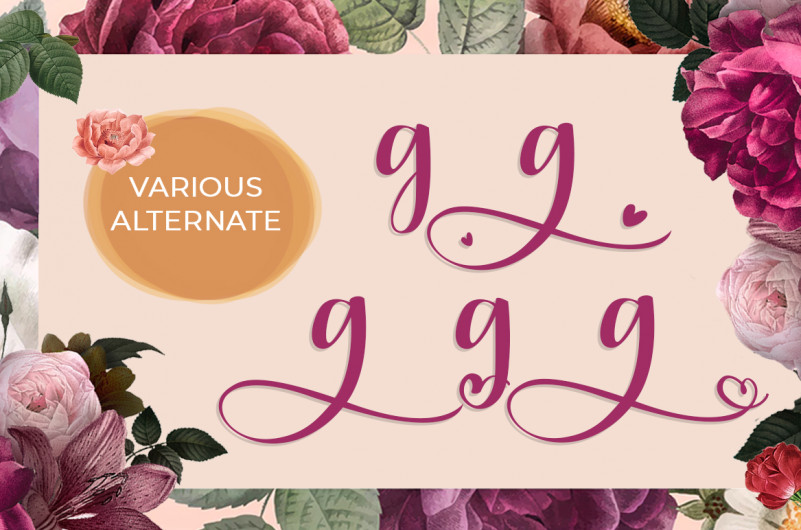 Bakira – Modern Calligraphy Font preview image 5