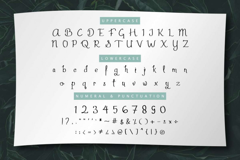 Aghmeeta Script Font preview image 3