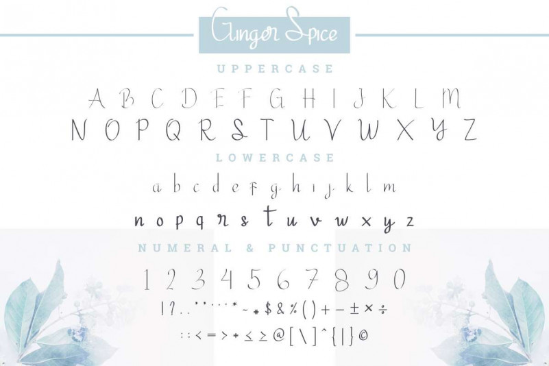 Ginger Spice Font preview image 3