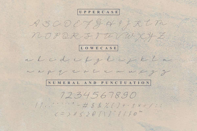 Thipany Signature Font preview image 4