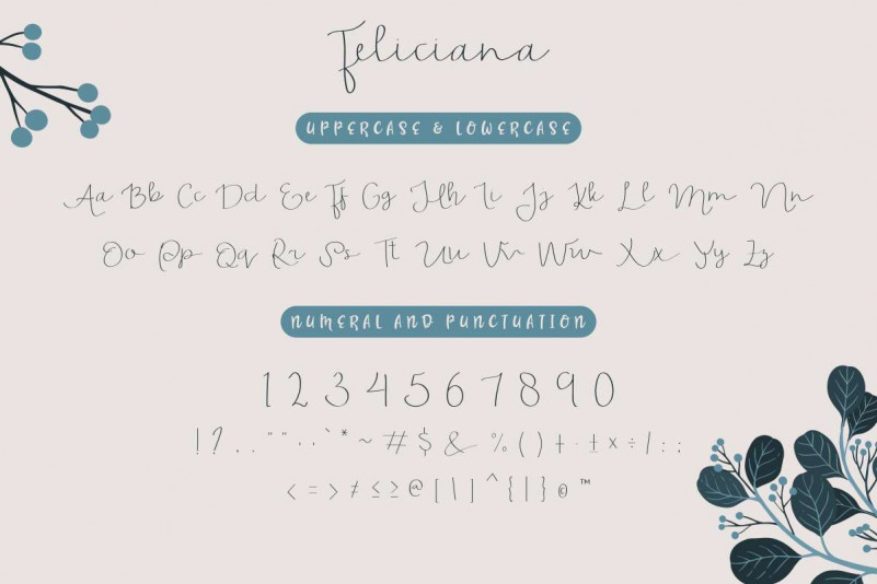 Feliciana Handwritten Font preview image 4