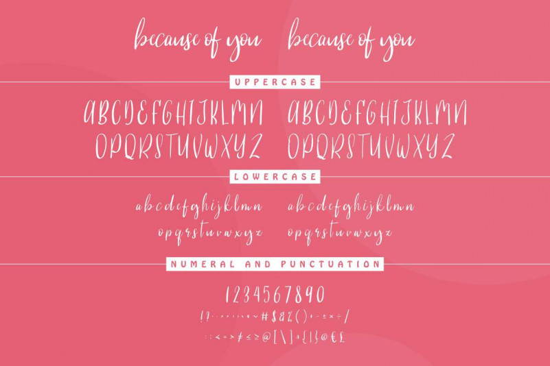 Because Of You Handwritting Font preview image 4