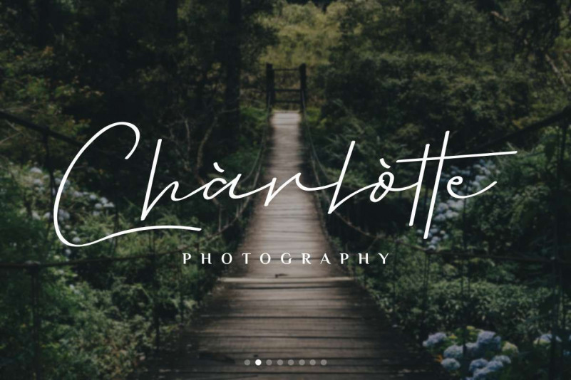 Great Devotion Handwritting Font preview image 4