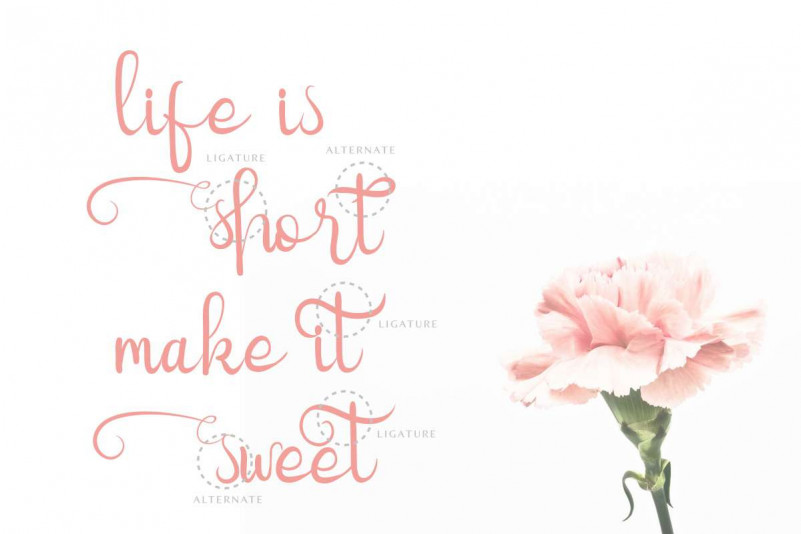 Quinnesha Script Font preview image 4