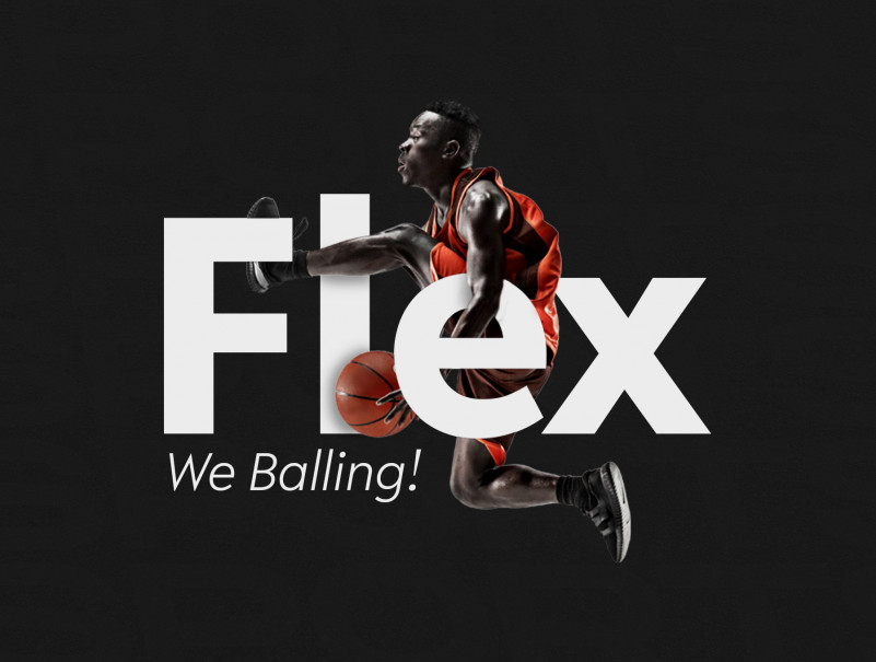 R-Flex Sans Serif Font preview image 5
