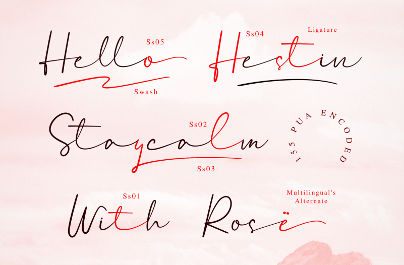 Coolesta Signature Font preview image 4