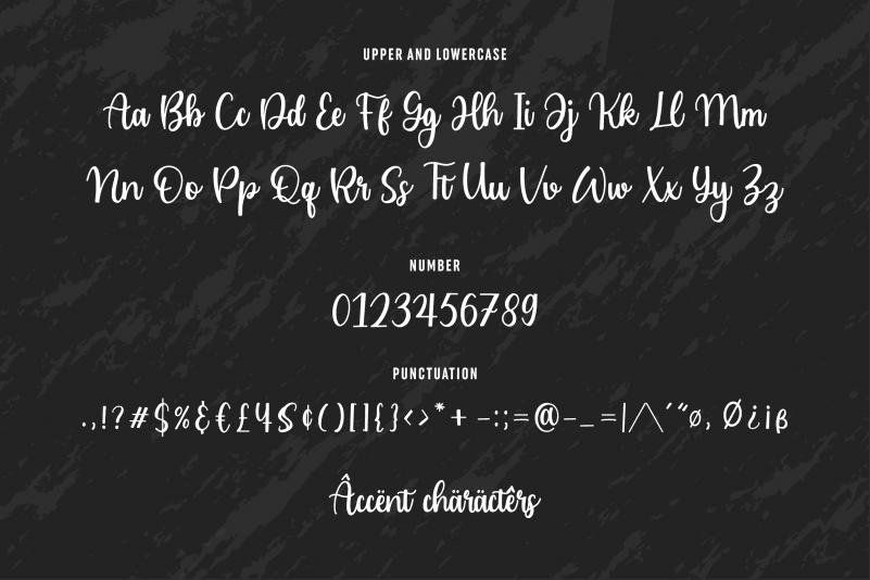 Cailyn Bloom Modern Script Font preview image 4