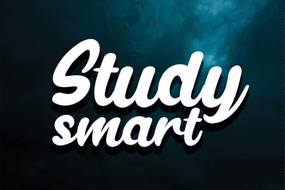 Bollando Bold Script Font preview image 2