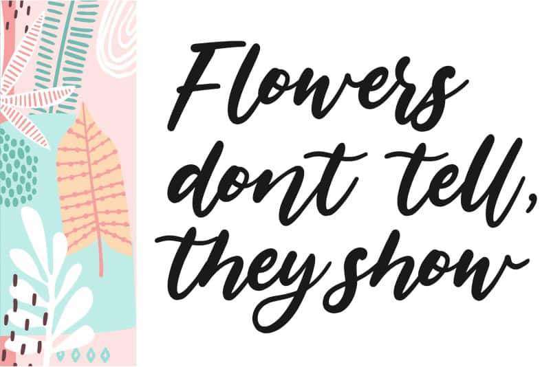Florania Calligraphy Font preview image 2