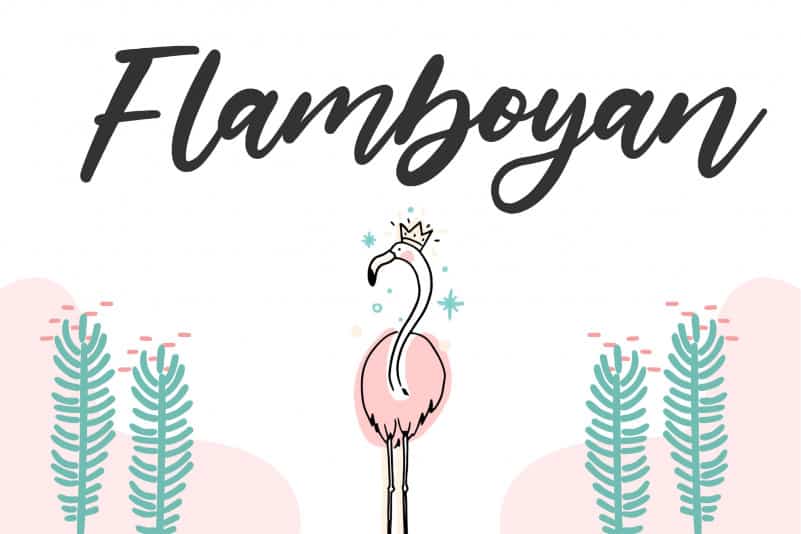 Florania Calligraphy Font preview image 3