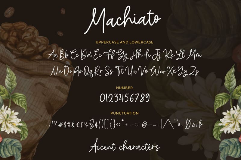 Machiato Monoline Handwritten Font preview image 5