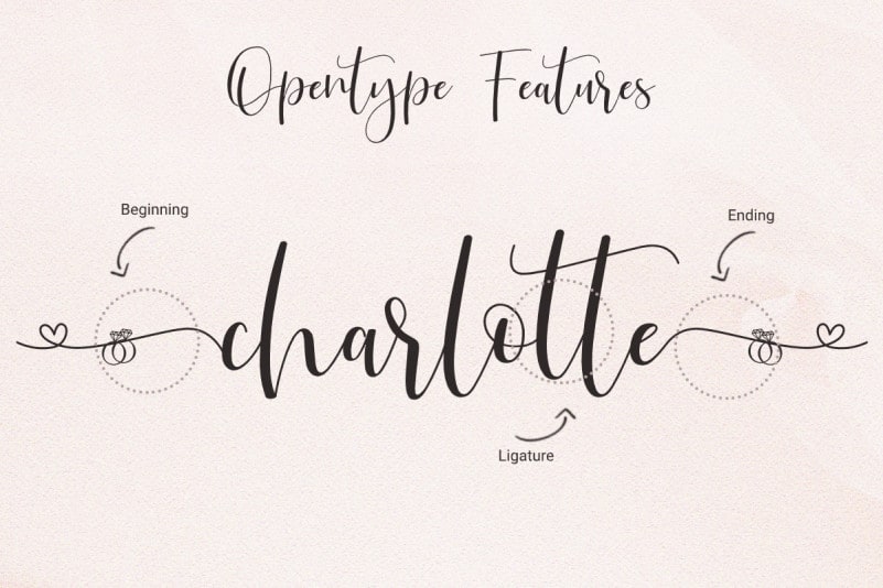 Just Love Script Font preview image 2