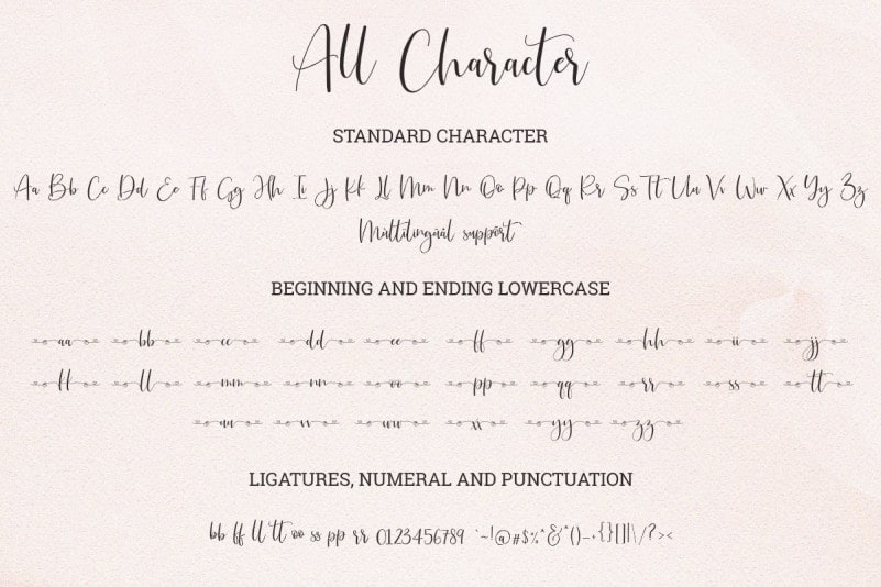 Just Love Script Font preview image 5