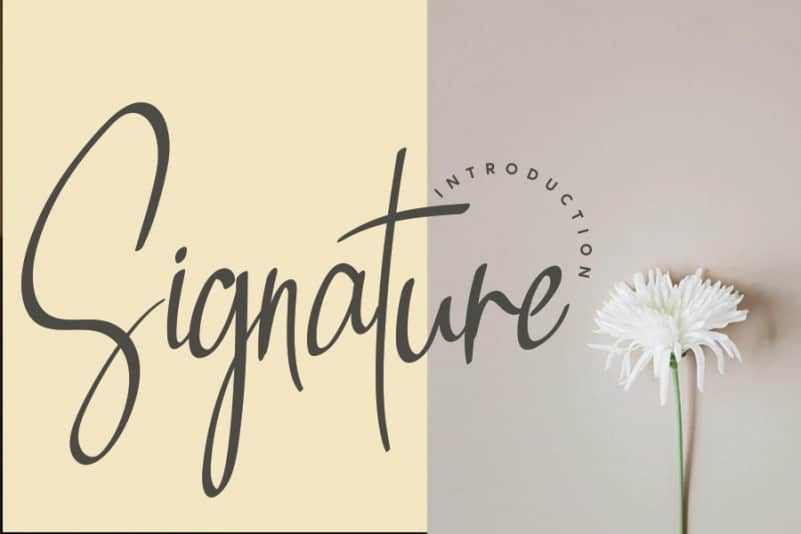 Berillamtia Handwritten Font preview image 2