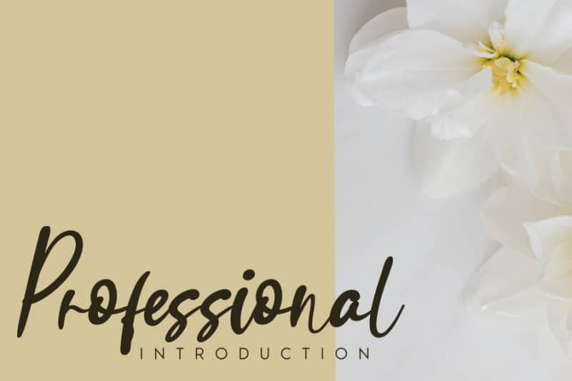 Ayutuban Handwritten Font preview image 2