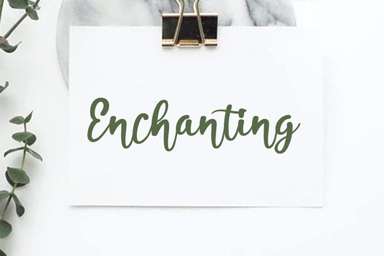 Amekanu Script Font preview image 2