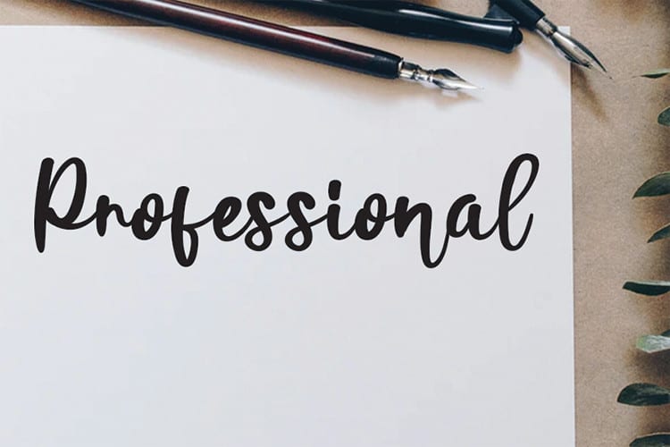 Amekanu Script Font preview image 4