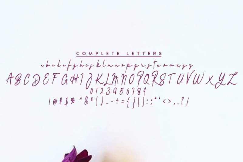 Vadimbrush Brush Font preview image 4