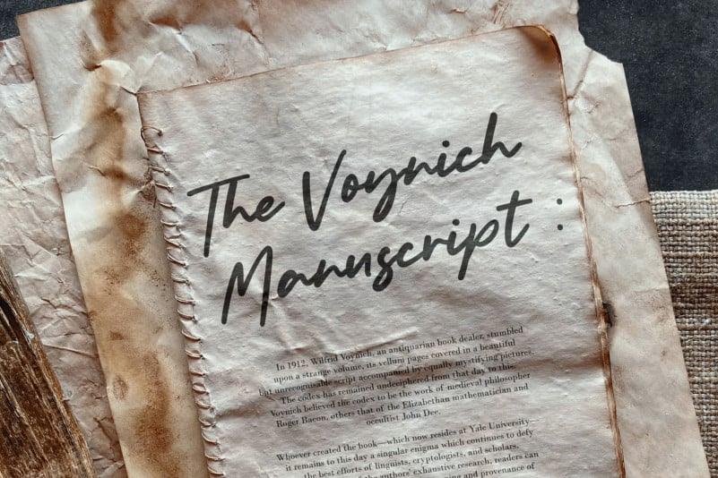 Bolognaise Monoline Handwritten Font preview image 4