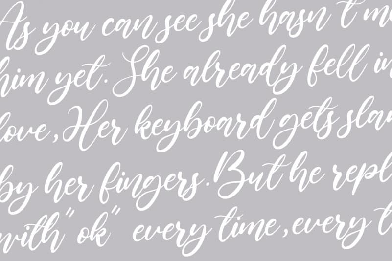 Lilybud Modern Handwritten Font preview image 5