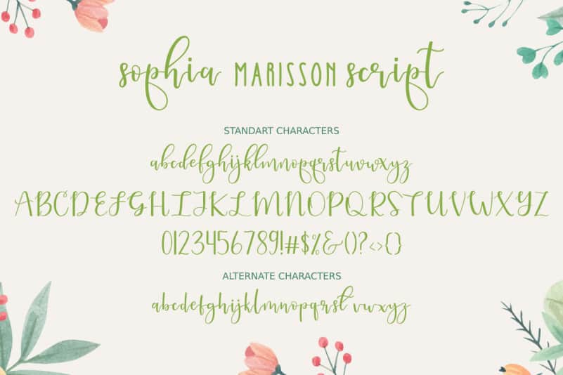 Sophia Marisson Script Font Duo preview image 5