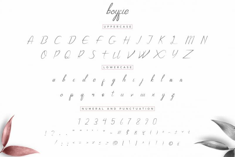 Boyfie Luxury Script Font preview image 3