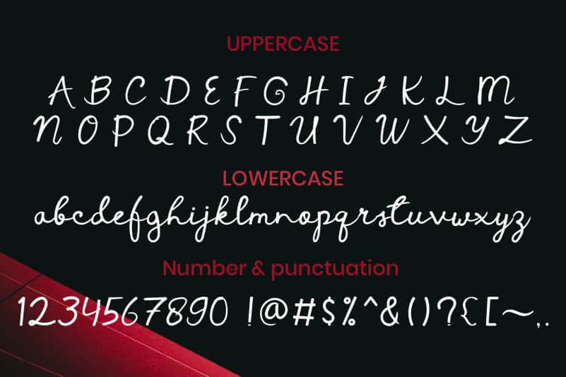 Vanneria Handwritten Font preview image 4