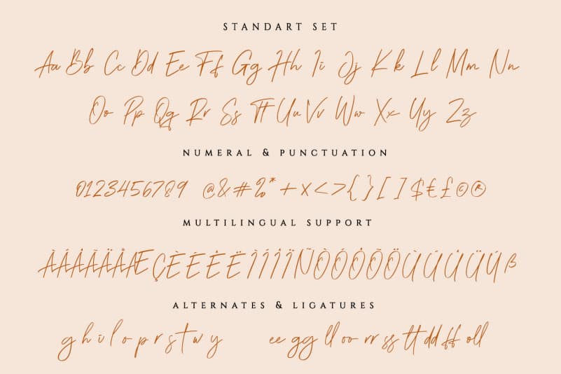 Brightness Script Font preview image 5