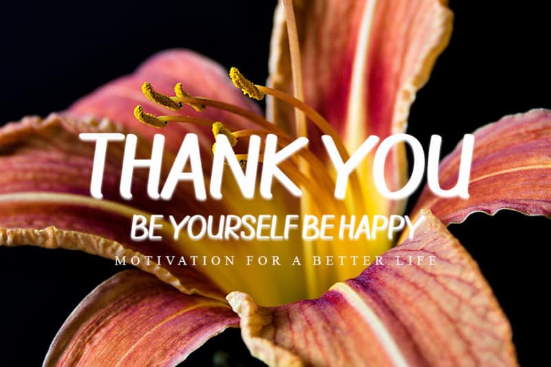 Ballpoint Script Font preview image 5