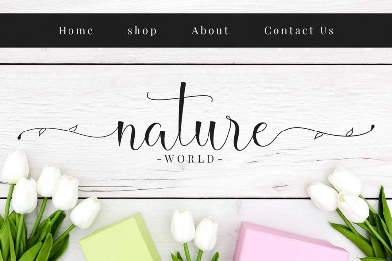 Hello Daisy Calligraphy Script preview image 4