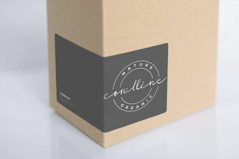 Shadow Over Signature Script Font preview image 3