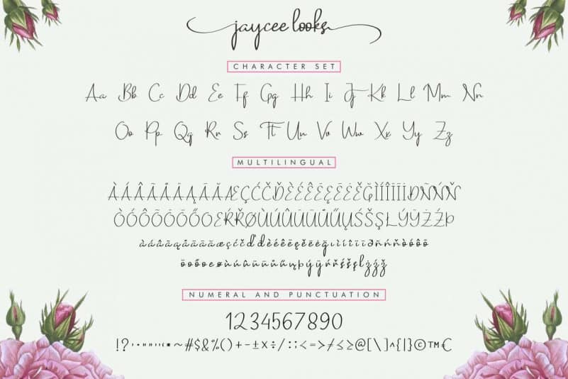 Jaycee Looks Script Font preview image 4
