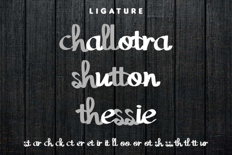 Grey Cloud Bold Script Font preview image 4