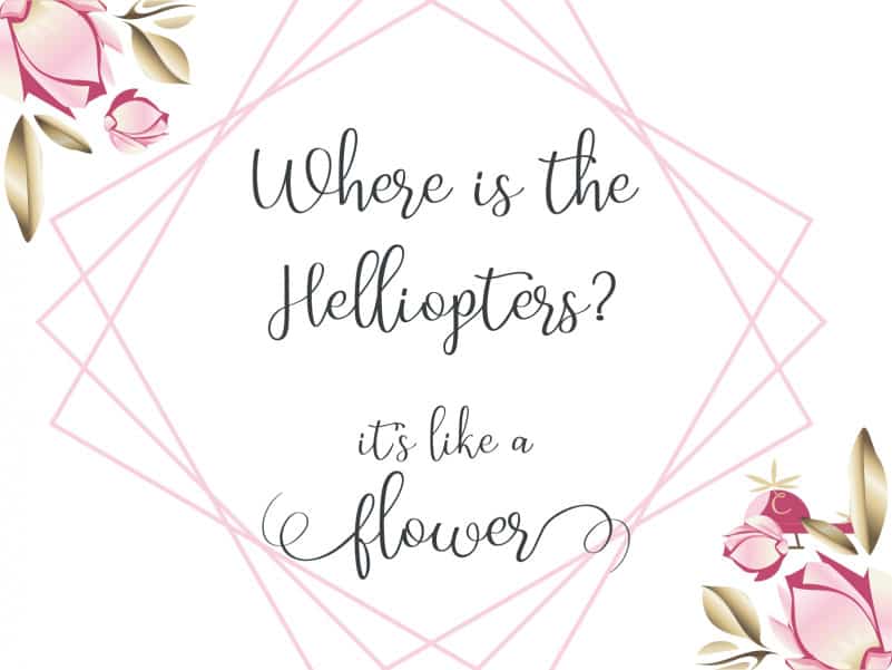 Helly Copters Calligraphy Font preview image 2