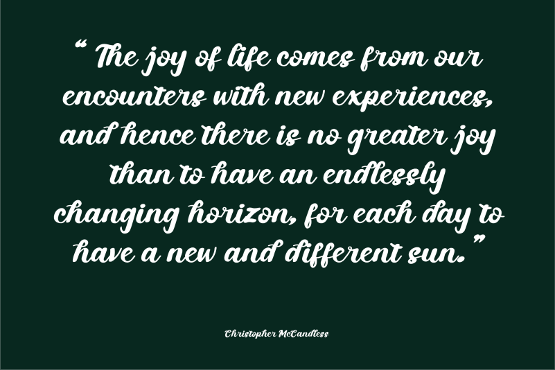 Fabrik Script Font preview image 3