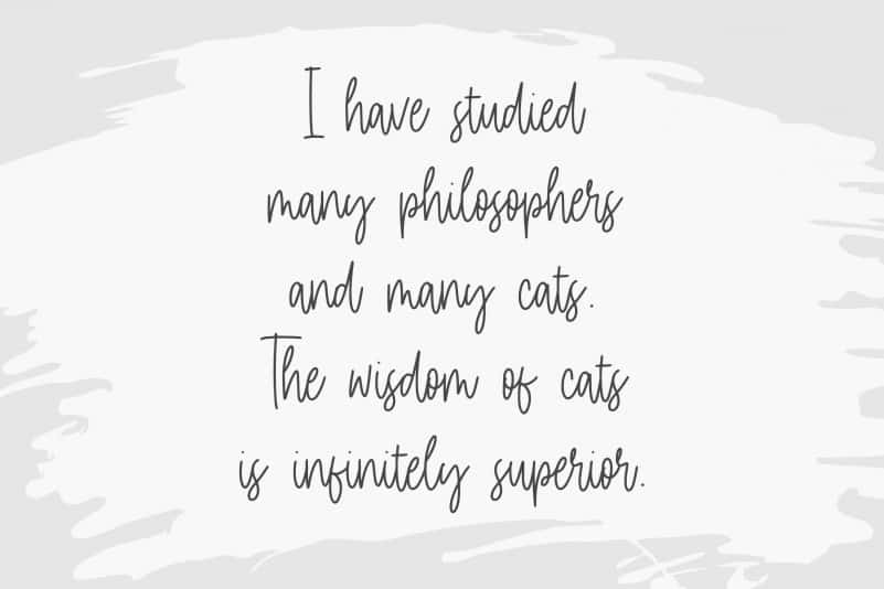 Daily Kitten Handwritten Font preview image 2