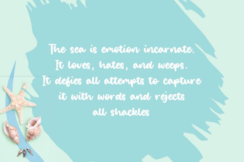 Salty Ocean Brushed Handdraw Font preview image 2