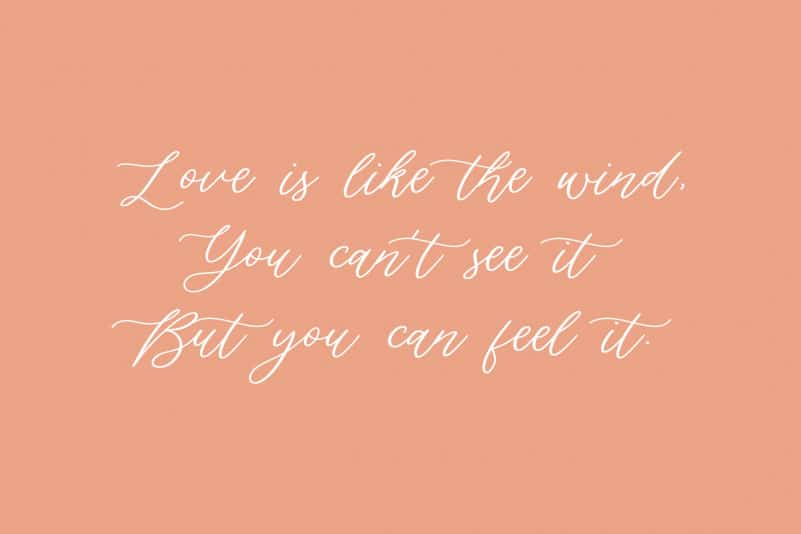 Silverweed Beautiful Calligraphy Script Font preview image 2