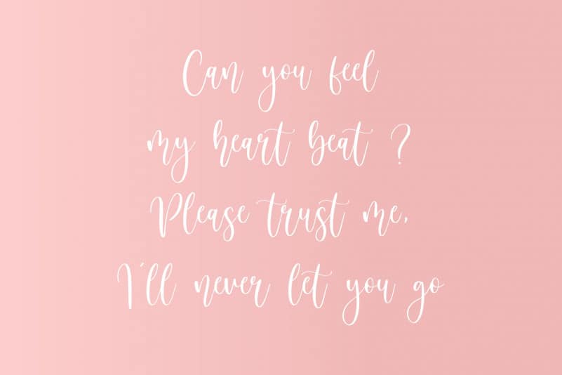 Birdside Lovely Modern Handwritten Font preview image 2