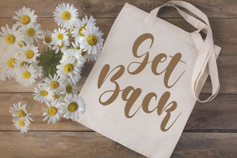 Restu Bumi Modern Handwritten Font preview image 3