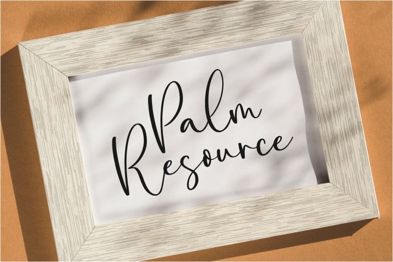Amalia Salvatore Calligraphy Font preview image 3