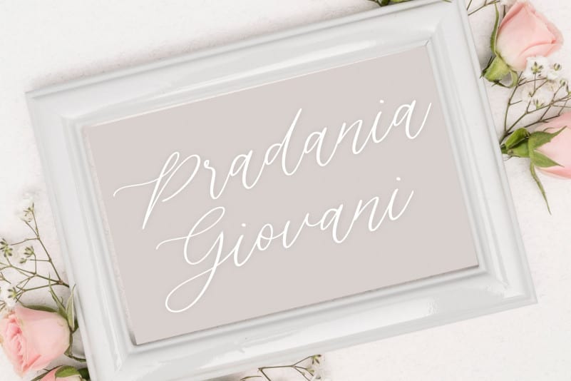Silverweed Beautiful Calligraphy Script Font preview image 4