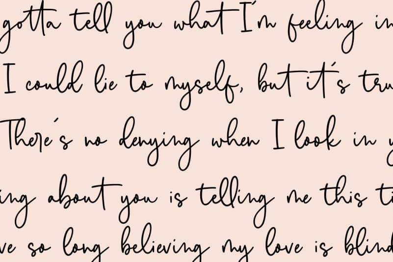 Melwisa Jameson Monoline Calligraphy Font preview image 5