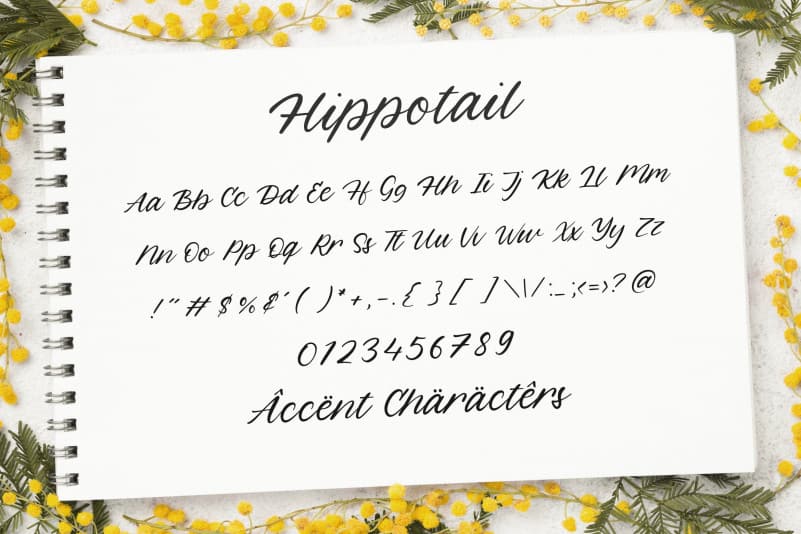 Hippotail Handwritten Font preview image 5