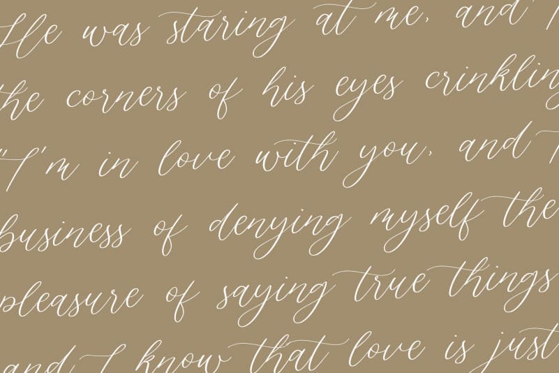 Silverweed Beautiful Calligraphy Script Font preview image 5