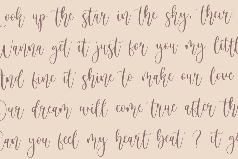 Birdside Lovely Modern Handwritten Font preview image 5