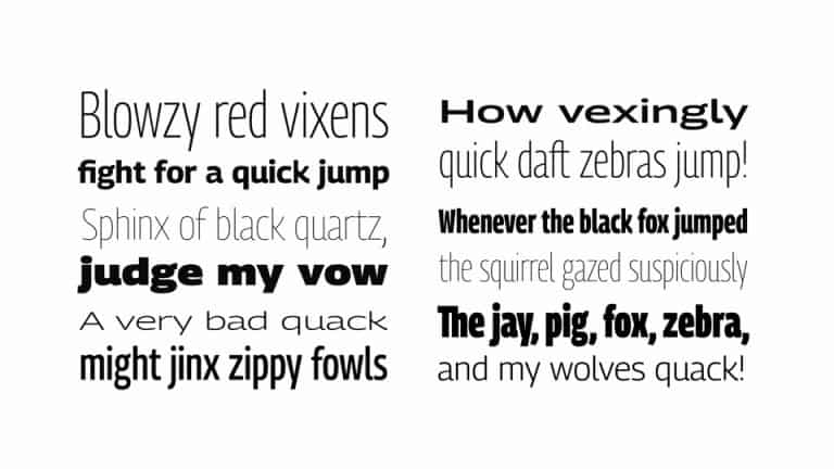 Georama Sans Serif Font preview image 3
