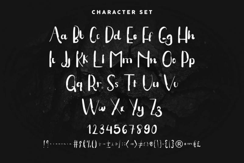Stay BIG Display Decorative Font preview image 3